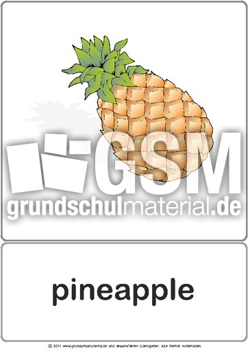 Bildkarte - pineapple.pdf